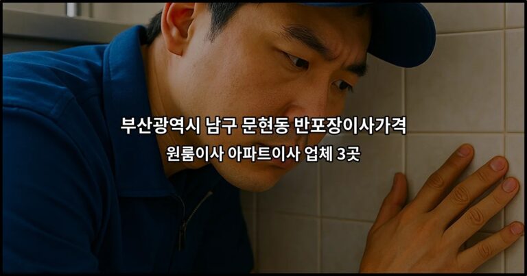 부산광역시 남구 문현동 반포장이사가격 원룸이사 아파트이사 업체 3곳