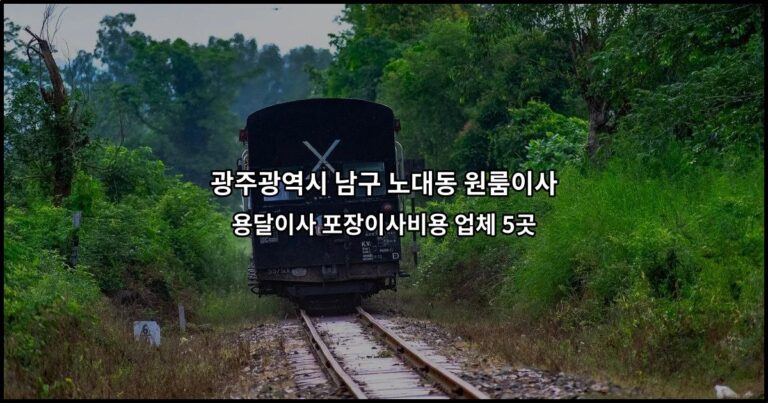 광주광역시 남구 노대동 원룸이사 용달이사 포장이사비용 업체 5곳