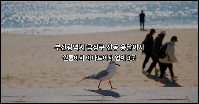 부산광역시 금정구 선동 용달이사 원룸이사 아파트이사 업체 3곳