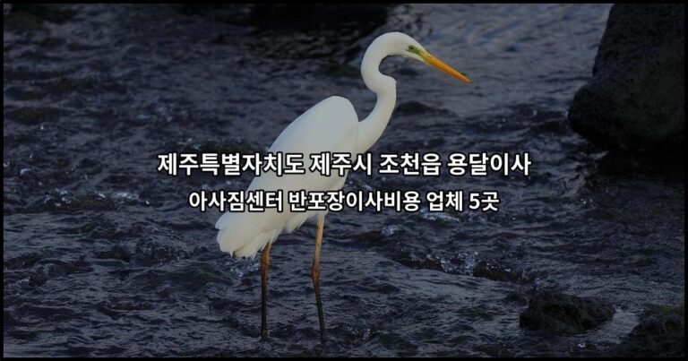 제주특별자치도 제주시 조천읍 용달이사 아사짐센터 반포장이사비용 업체 5곳