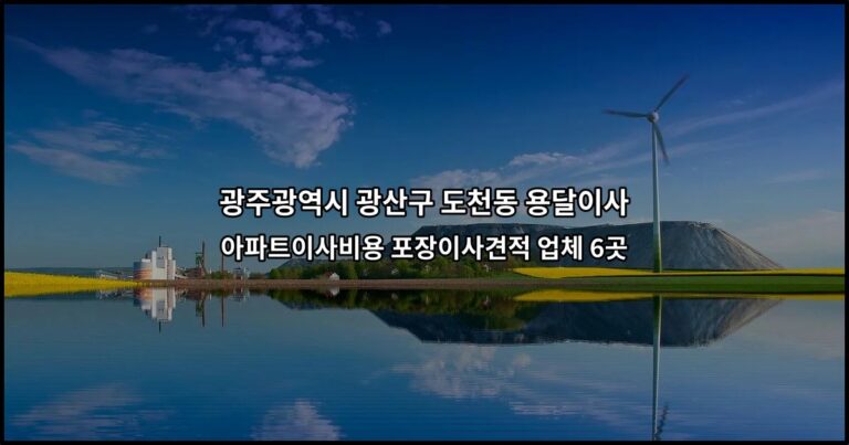 광주광역시 광산구 도천동 용달이사 아파트이사비용 포장이사견적 업체 6곳